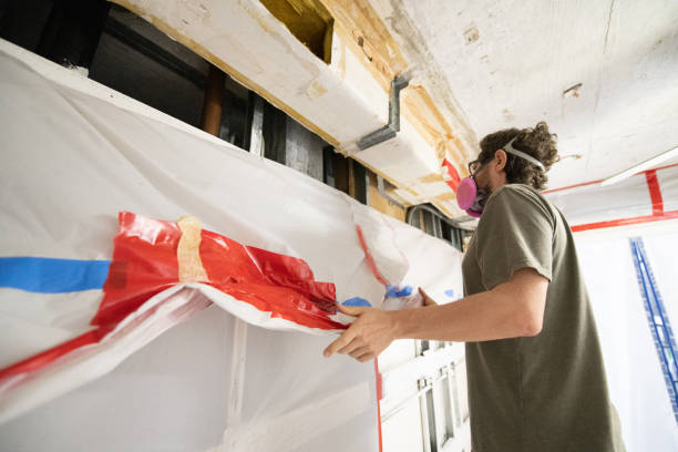 Trusted Southchase, FL Mold Removal Experts