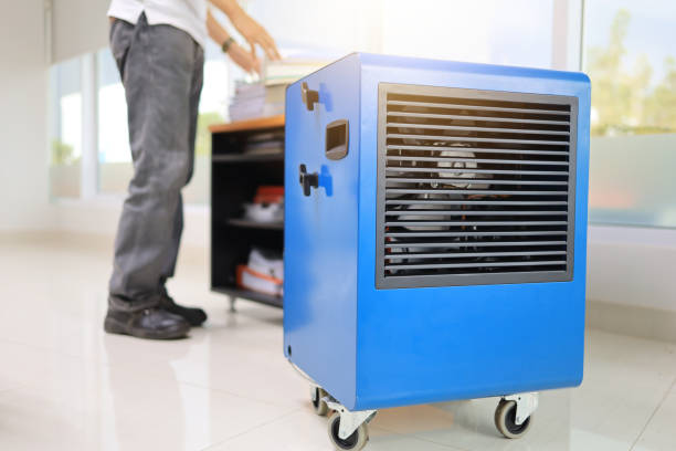 Best HVAC Mold Inspection and Cleaning  in Southchase, FL
