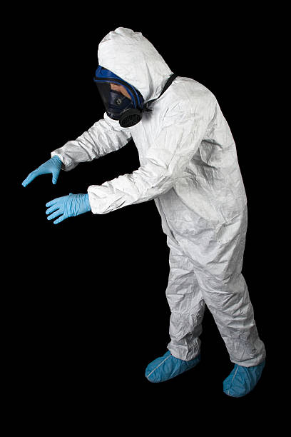 Best Basement Mold Removal  in Southchase, FL