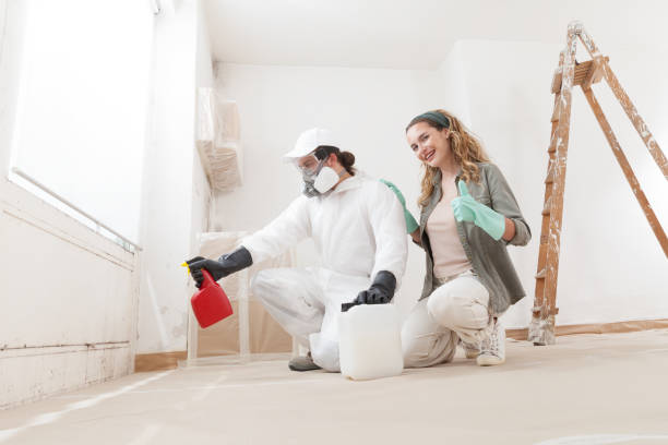 Best Post-Remediation Verification Testing  in Southchase, FL
